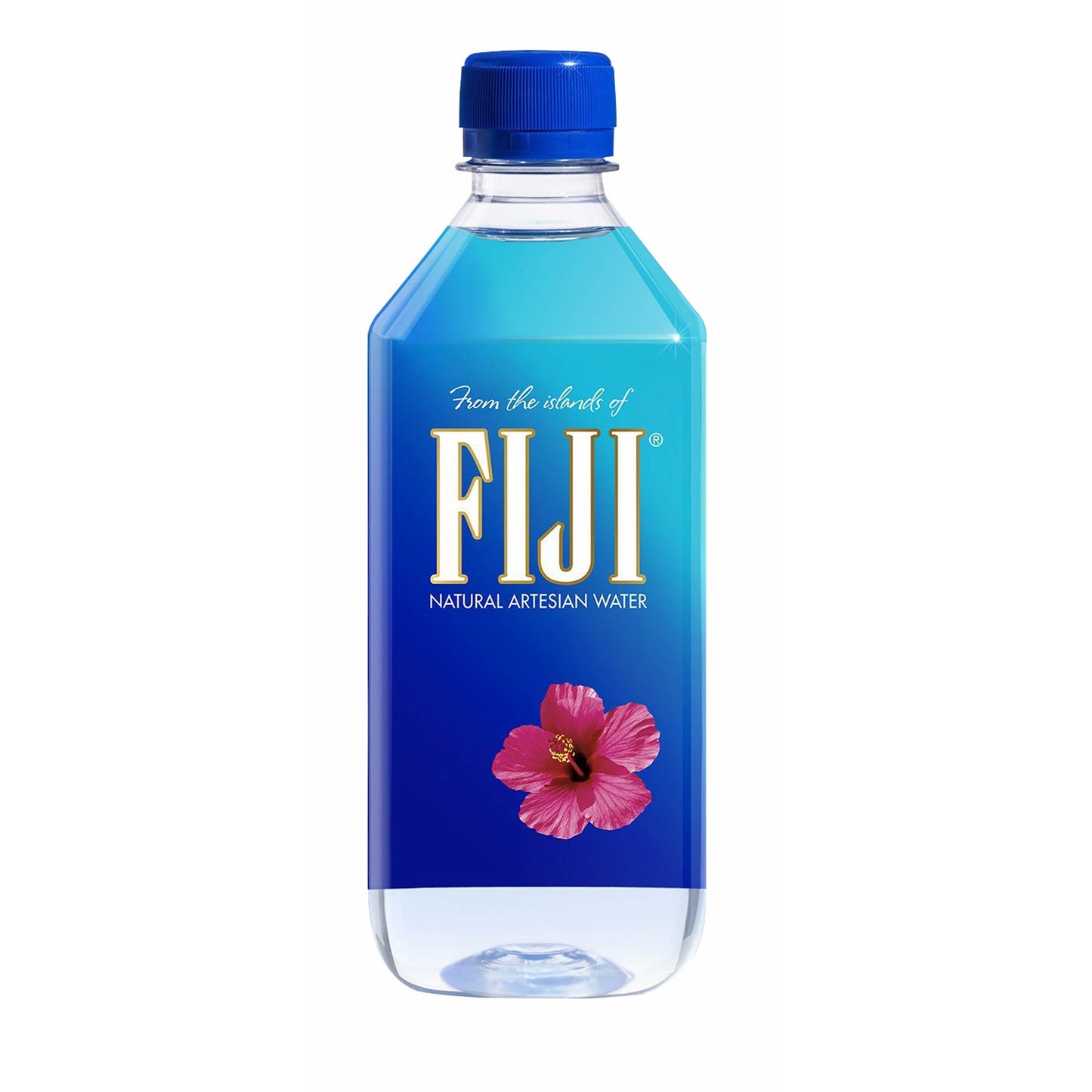 Fiji Water 0.5l